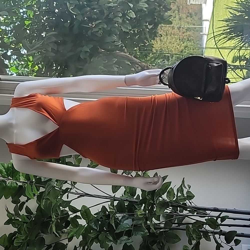Dress - Picture 6 of 6